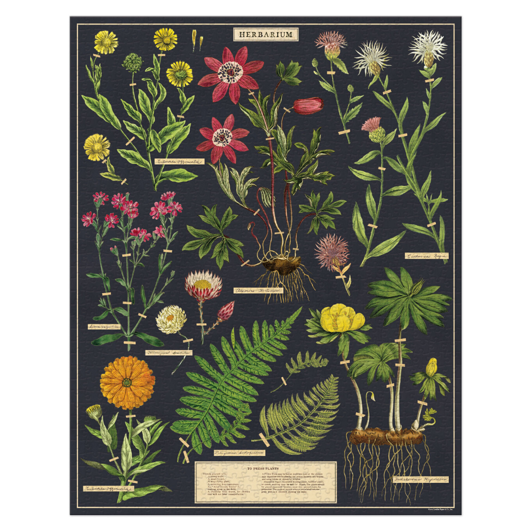 Puzzle planche botanique / Les arbres / 1000 pièces / Cavallini